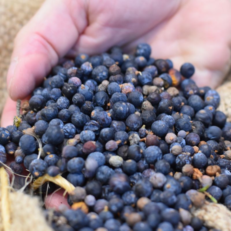 Classic Gin "Kalahari 43%"